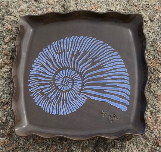 Nautilus Tray