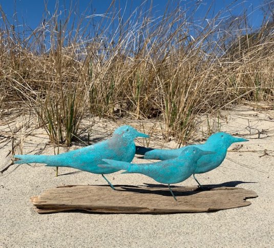 Terns