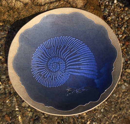 Nautilus Platter