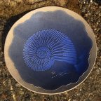 Nautilus Platter